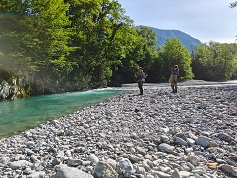 3328c7fc-3855-4e7b-97f5-ce6264e43f4a_4_5005_c