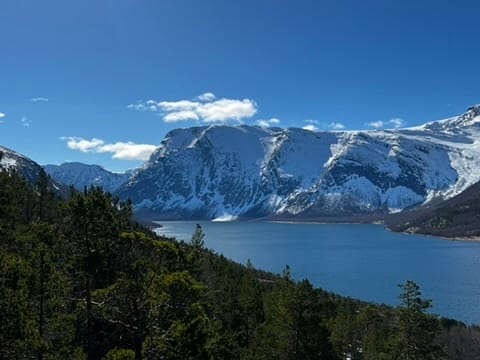 444FA2B3-C58F-4D9C-A8B6-0A1583A39274_4_5005_c